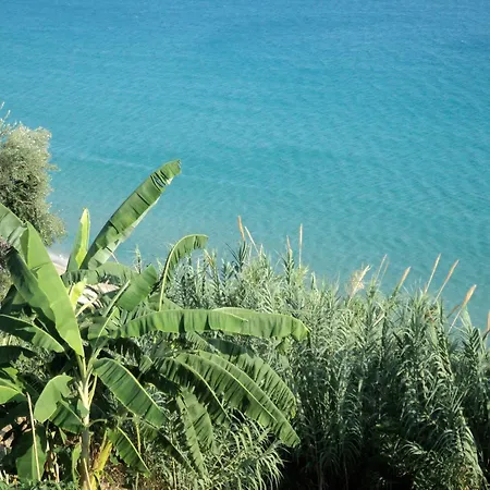 Anastasis Трапезаки