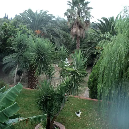 Апартаменты Anastasis Трапезаки