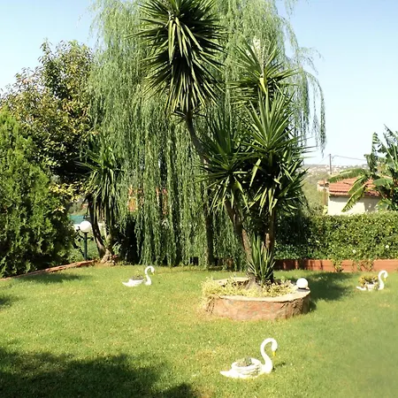 Anastasis Трапезаки